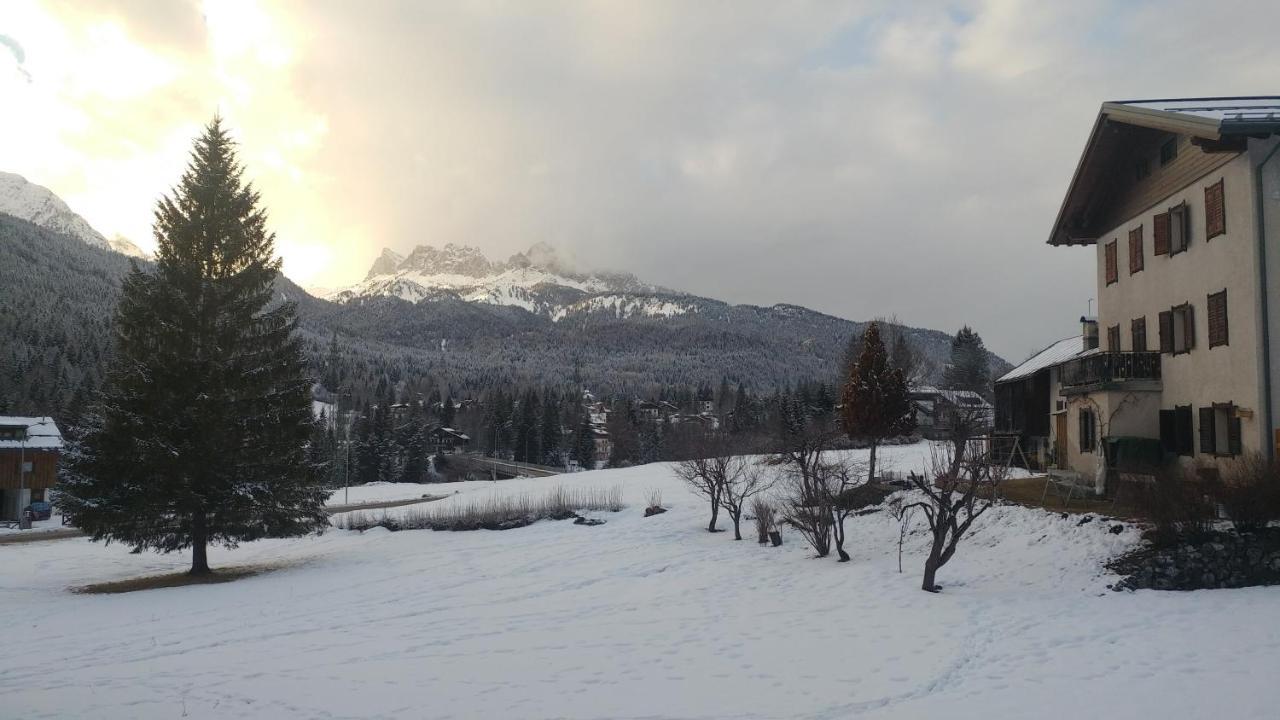 Casa Vacanze Miramonti - Appartamento Con Balcone Con Vista Sulle Dolomiti ボルカ・ディ・カドーレ エクステリア 写真