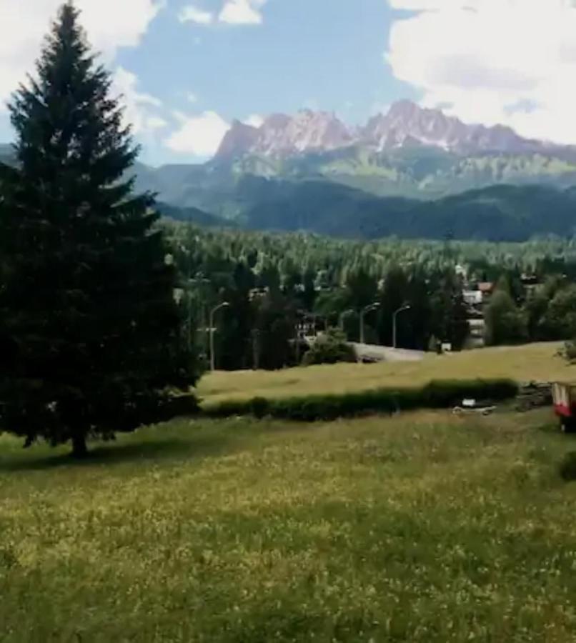 Casa Vacanze Miramonti - Appartamento Con Balcone Con Vista Sulle Dolomiti ボルカ・ディ・カドーレ エクステリア 写真